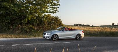 BMW 2 Series Convertible (2015) - picture 12 of 71