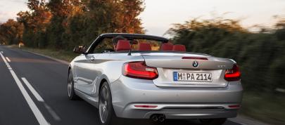 BMW 2 Series Convertible (2015) - picture 15 of 71