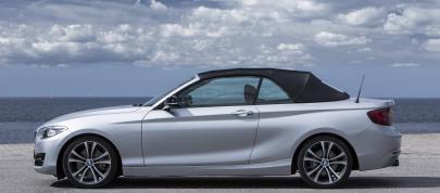 BMW 2 Series Convertible (2015) - picture 20 of 71