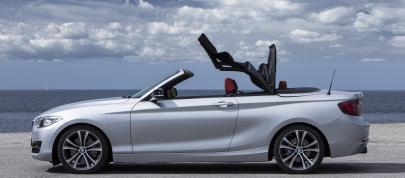 BMW 2 Series Convertible (2015) - picture 23 of 71