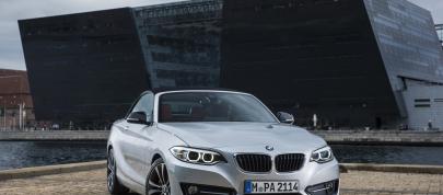 BMW 2 Series Convertible (2015) - picture 28 of 71