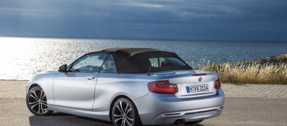 BMW 2 Series Convertible (2015) - picture 31 of 71