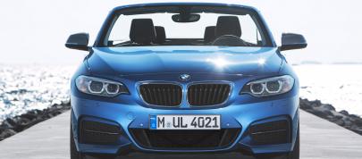 BMW 2 Series Convertible (2015) - picture 60 of 71