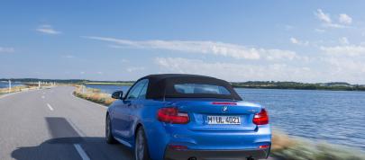 BMW 2 Series Convertible (2015) - picture 63 of 71