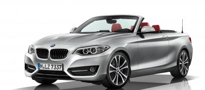 BMW 2 Series Convertible (2015) - picture 68 of 71