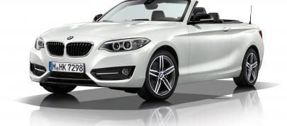 BMW 2 Series Convertible (2015) - picture 71 of 71