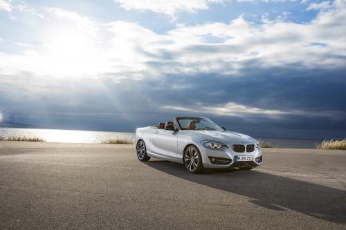 BMW 2 Series Convertible (2015) - picture 1 of 71