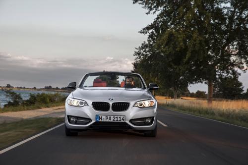 BMW 2 Series Convertible (2015) - picture 9 of 71