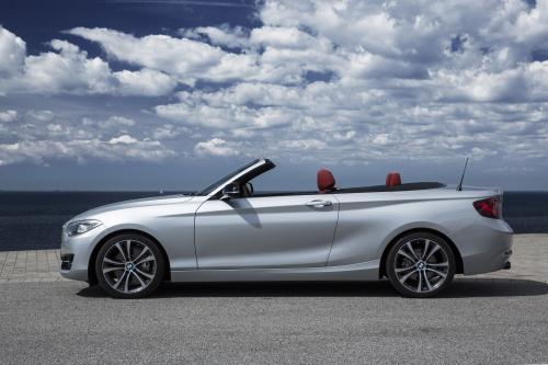 BMW 2 Series Convertible (2015) - picture 17 of 71