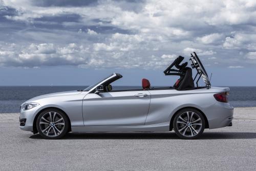 BMW 2 Series Convertible (2015) - picture 24 of 71