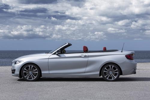 BMW 2 Series Convertible (2015) - picture 25 of 71