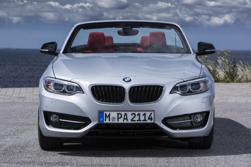 BMW 2 Series Convertible (2015) - picture 33 of 71