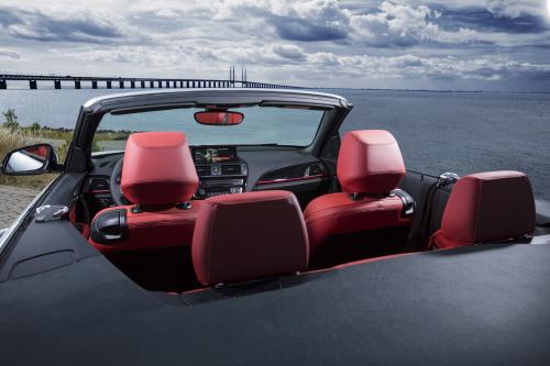 BMW 2 Series Convertible (2015) - picture 40 of 71