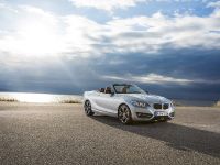 BMW 2 Series Convertible (2015) - picture 1 of 71