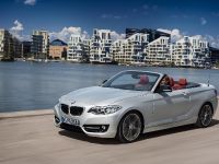BMW 2 Series Convertible (2015) - picture 5 of 71