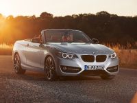 BMW 2 Series Convertible (2015) - picture 6 of 71
