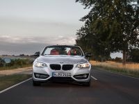 BMW 2 Series Convertible (2015)