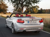 BMW 2 Series Convertible (2015) - picture 13 of 71