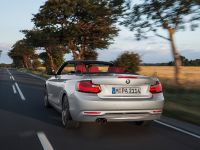 BMW 2 Series Convertible (2015) - picture 14 of 71