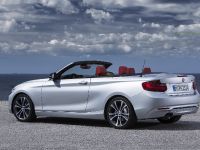 BMW 2 Series Convertible (2015) - picture 19 of 71