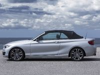 BMW 2 Series Convertible (2015)