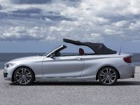 BMW 2 Series Convertible (2015) - picture 21 of 71