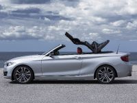 BMW 2 Series Convertible (2015) - picture 22 of 71