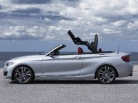 BMW 2 Series Convertible (2015)