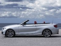 BMW 2 Series Convertible (2015)