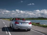 BMW 2 Series Convertible (2015) - picture 26 of 71
