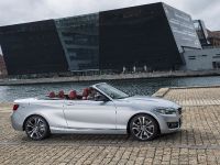 BMW 2 Series Convertible (2015) - picture 27 of 71