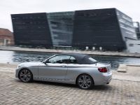 BMW 2 Series Convertible (2015) - picture 30 of 71