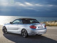 BMW 2 Series Convertible (2015)