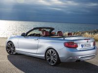 BMW 2 Series Convertible (2015)