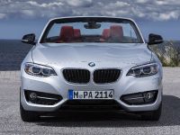BMW 2 Series Convertible (2015)