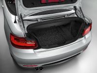 BMW 2 Series Convertible (2015)
