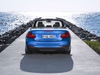 BMW 2 Series Convertible (2015) - picture 58 of 71