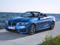 BMW 2 Series Convertible (2015) - picture 59 of 71