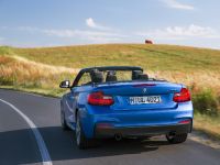 BMW 2 Series Convertible (2015) - picture 61 of 71