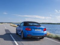 BMW 2 Series Convertible (2015)
