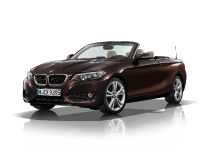BMW 2 Series Convertible (2015) - picture 67 of 71