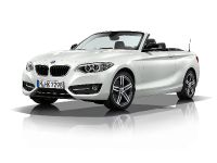 BMW 2 Series Convertible (2015)