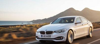 BMW 4-Series Gran Coupe (2015) - picture 44 of 99
