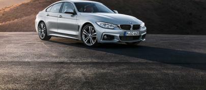 BMW 4-Series Gran Coupe (2015) - picture 52 of 99