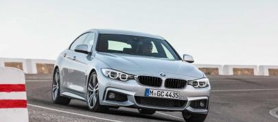 BMW 4-Series Gran Coupe (2015) - picture 84 of 99
