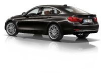 BMW 4-Series Gran Coupe (2015) - picture 7 of 99