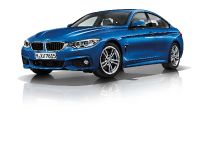 BMW 4-Series Gran Coupe (2015) - picture 14 of 99