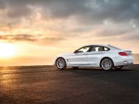 BMW 4-Series Gran Coupe (2015) - picture 29 of 99