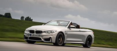 BMW F83 M4 Convertible (2015) - picture 15 of 240