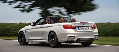 BMW F83 M4 Convertible (2015) - picture 20 of 240